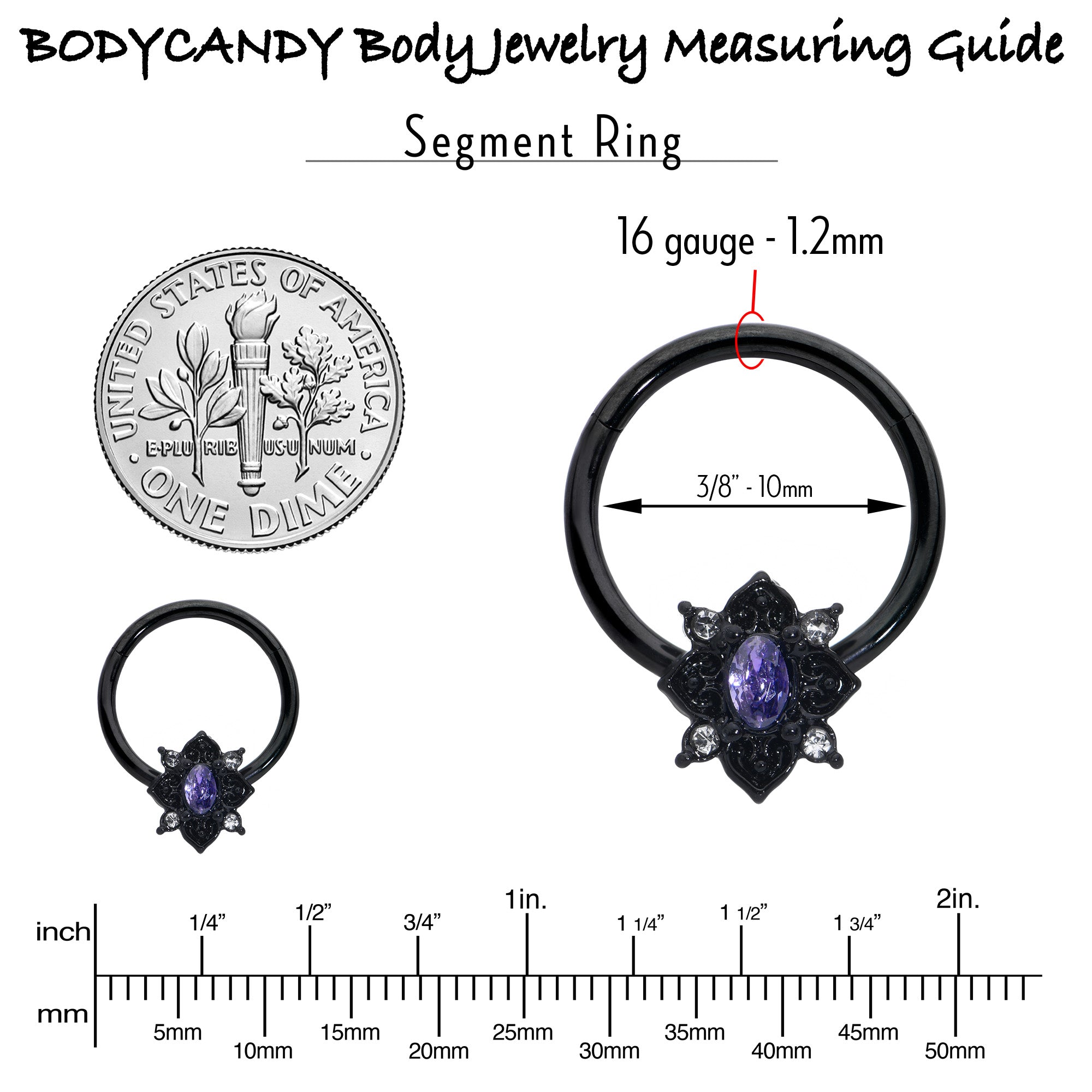 BodyCandy 16G 3/8 Purple Gem Black Scrolling Hearts Hinged Segment Ring — in-use photo