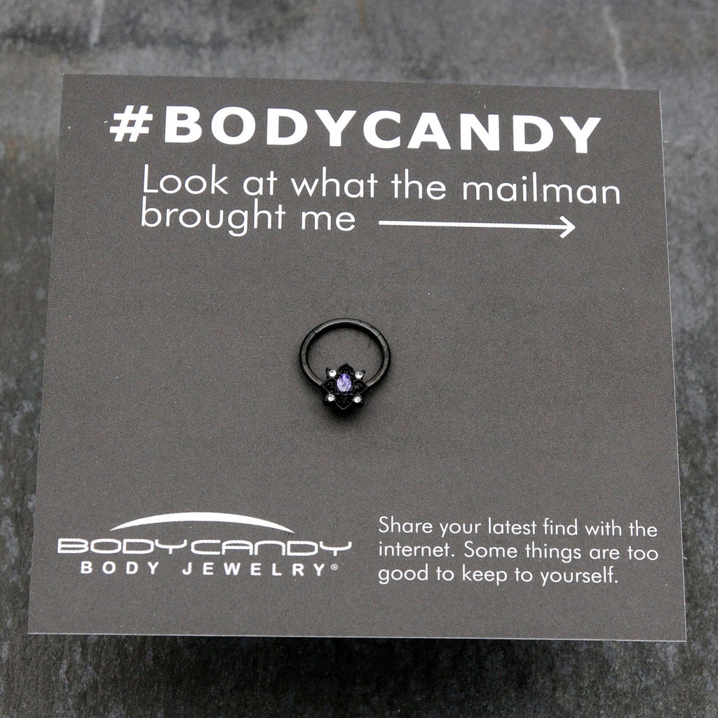 BodyCandy 16G 3/8 Purple Gem Black Scrolling Hearts Hinged Segment Ring — size reference