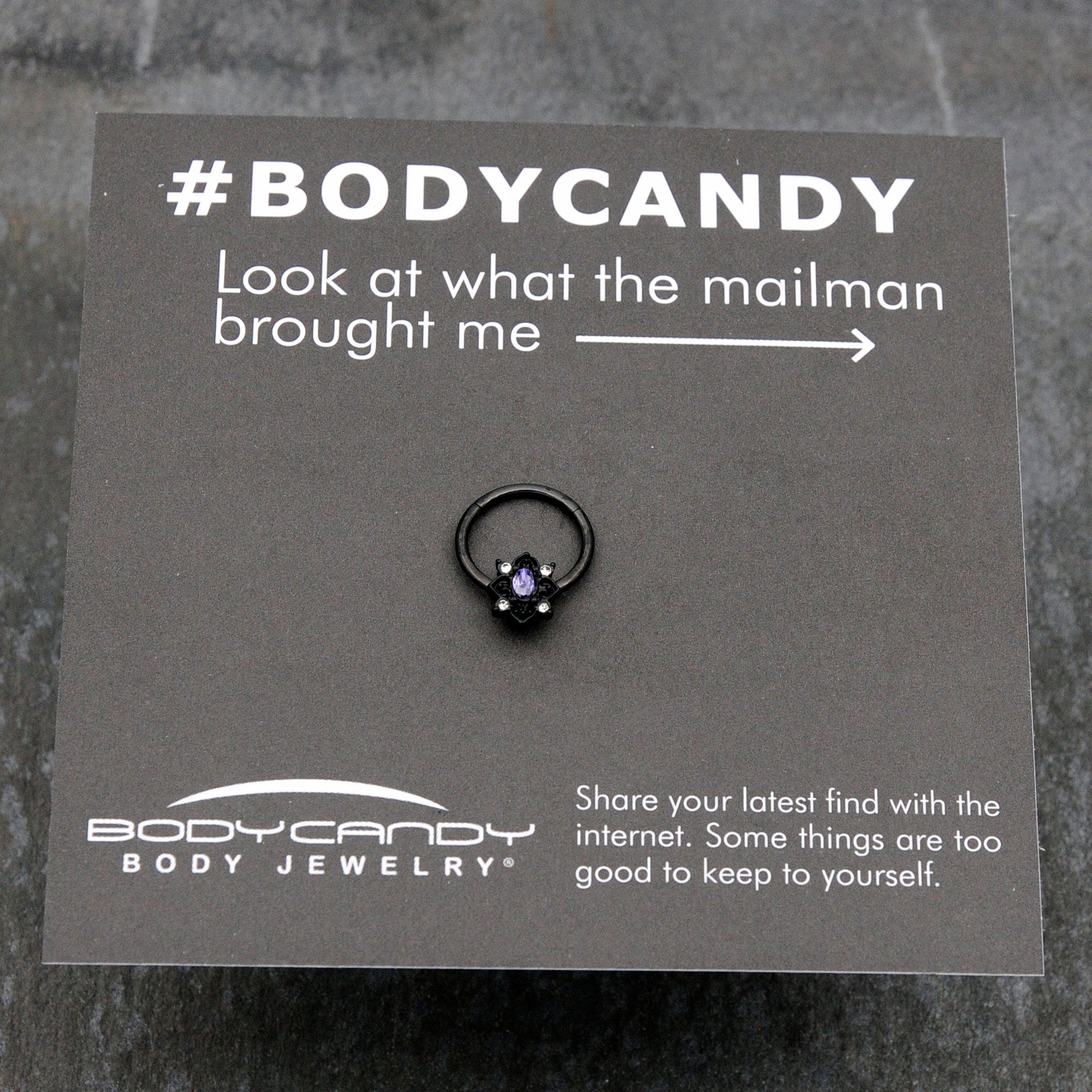BodyCandy 16G 3/8 Purple Gem Black Scrolling Hearts Hinged Segment Ring — size reference