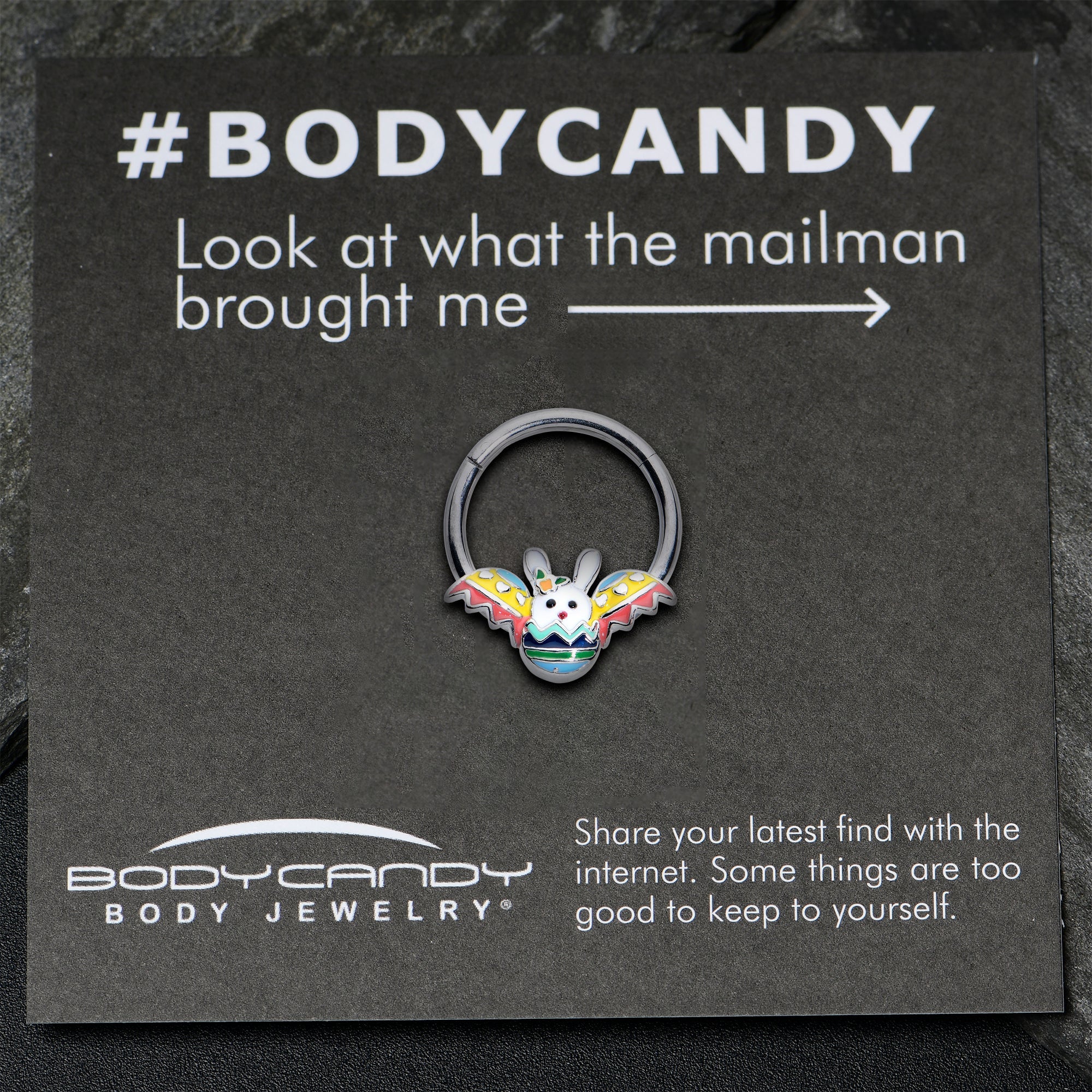 BodyCandy 16G 3/8 Easter Egg Bunny Hinged Segment Ring — alternative angle