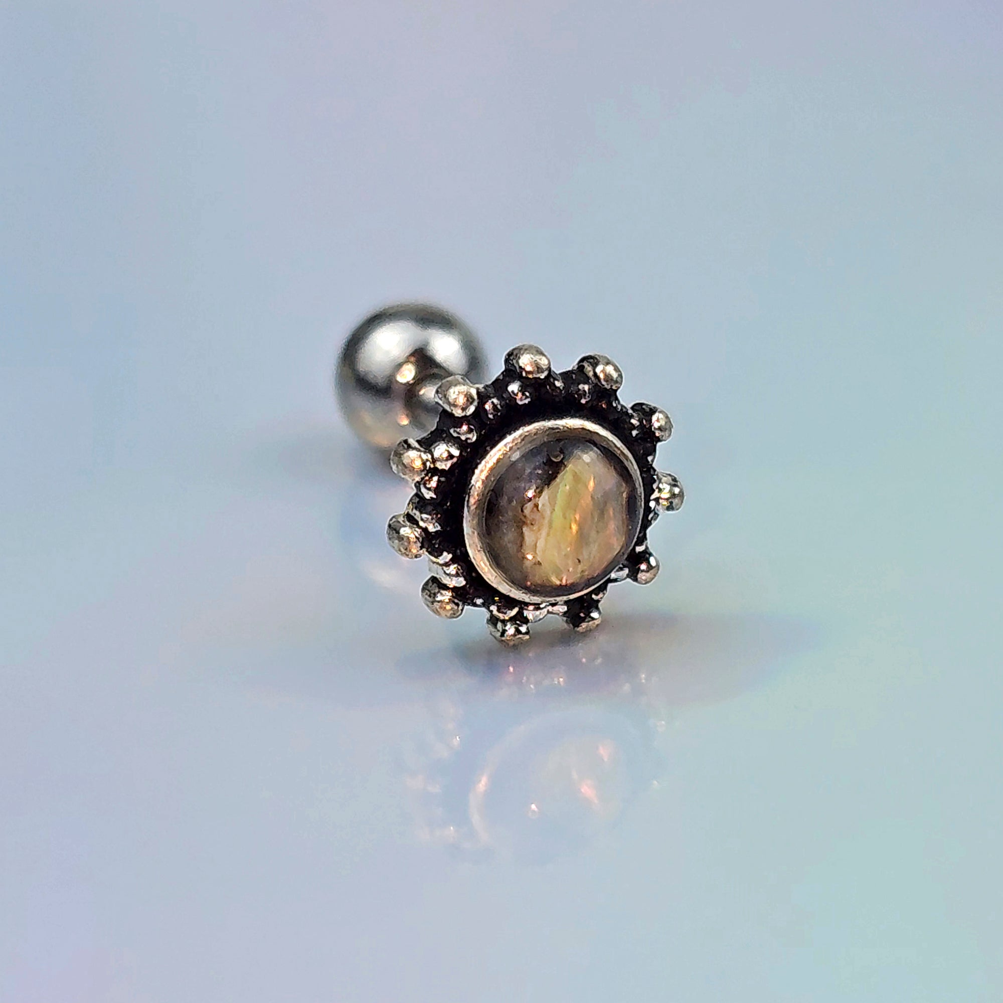 BodyCandy 16G 1/4 Brown Faux Shell Circle Of Glam Cartilage Tragus Earring — main product shot