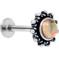BodyCandy 16G 5/16 Brown Faux Shell Circle of Glam Labret Monroe Tragus — main product shot