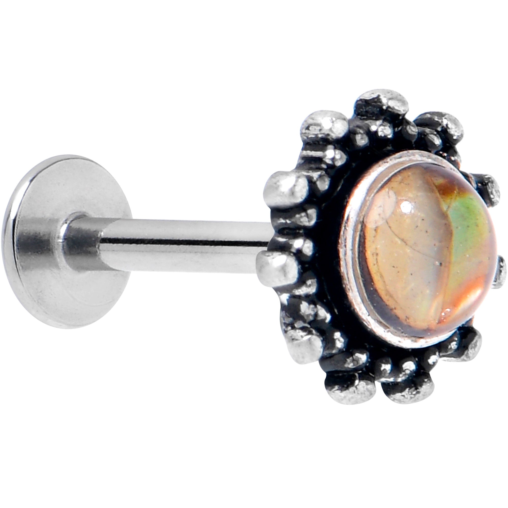 BodyCandy 16G 5/16 Brown Faux Shell Circle of Glam Labret Monroe Tragus — main product shot