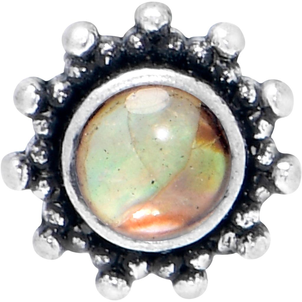BodyCandy 16G 5/16 Brown Faux Shell Circle of Glam Labret Monroe Tragus — detail close-up