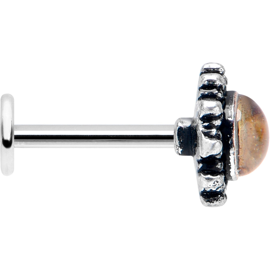 BodyCandy 16G 5/16 Brown Faux Shell Circle of Glam Labret Monroe Tragus — lifestyle context
