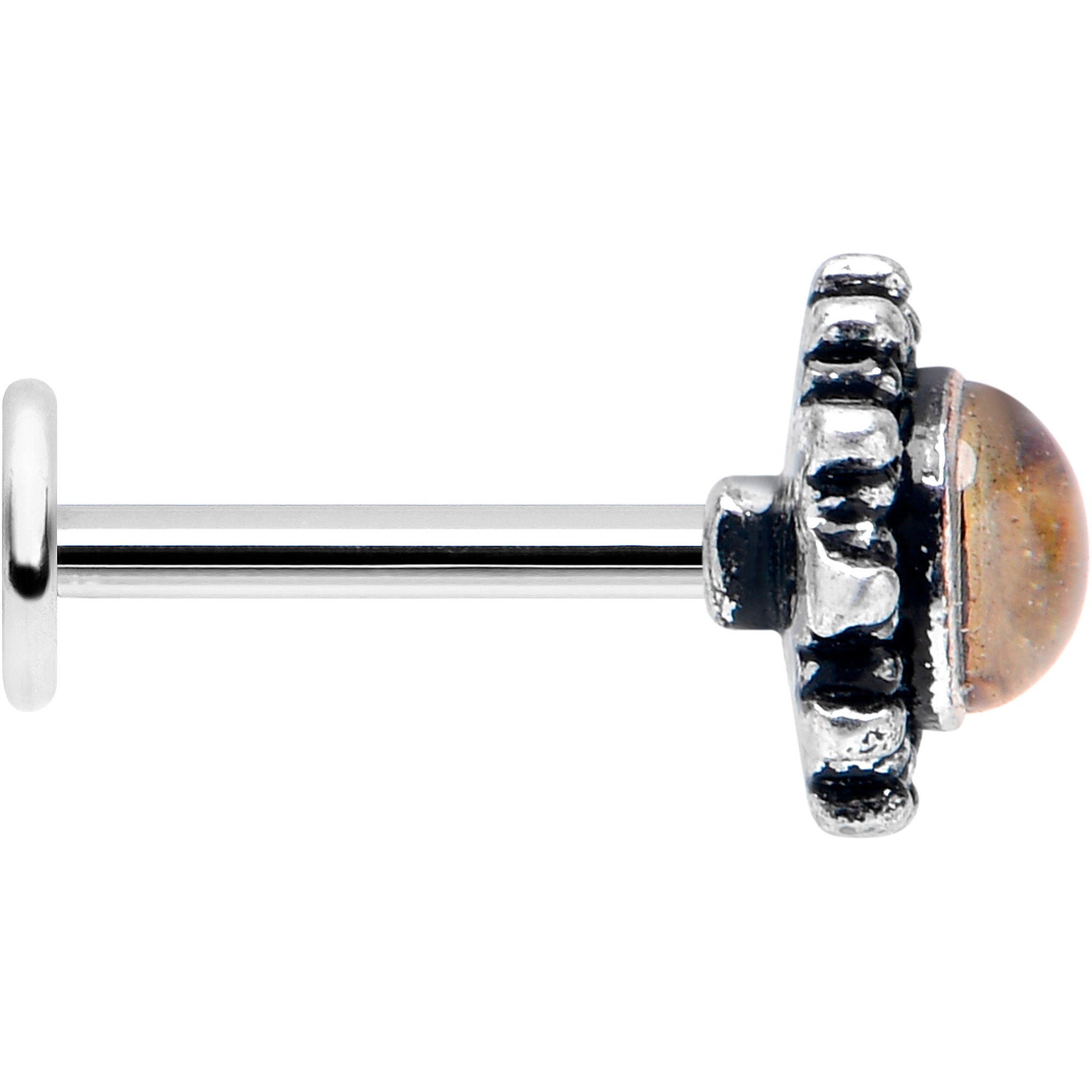 BodyCandy 16G 5/16 Brown Faux Shell Circle of Glam Labret Monroe Tragus — lifestyle context