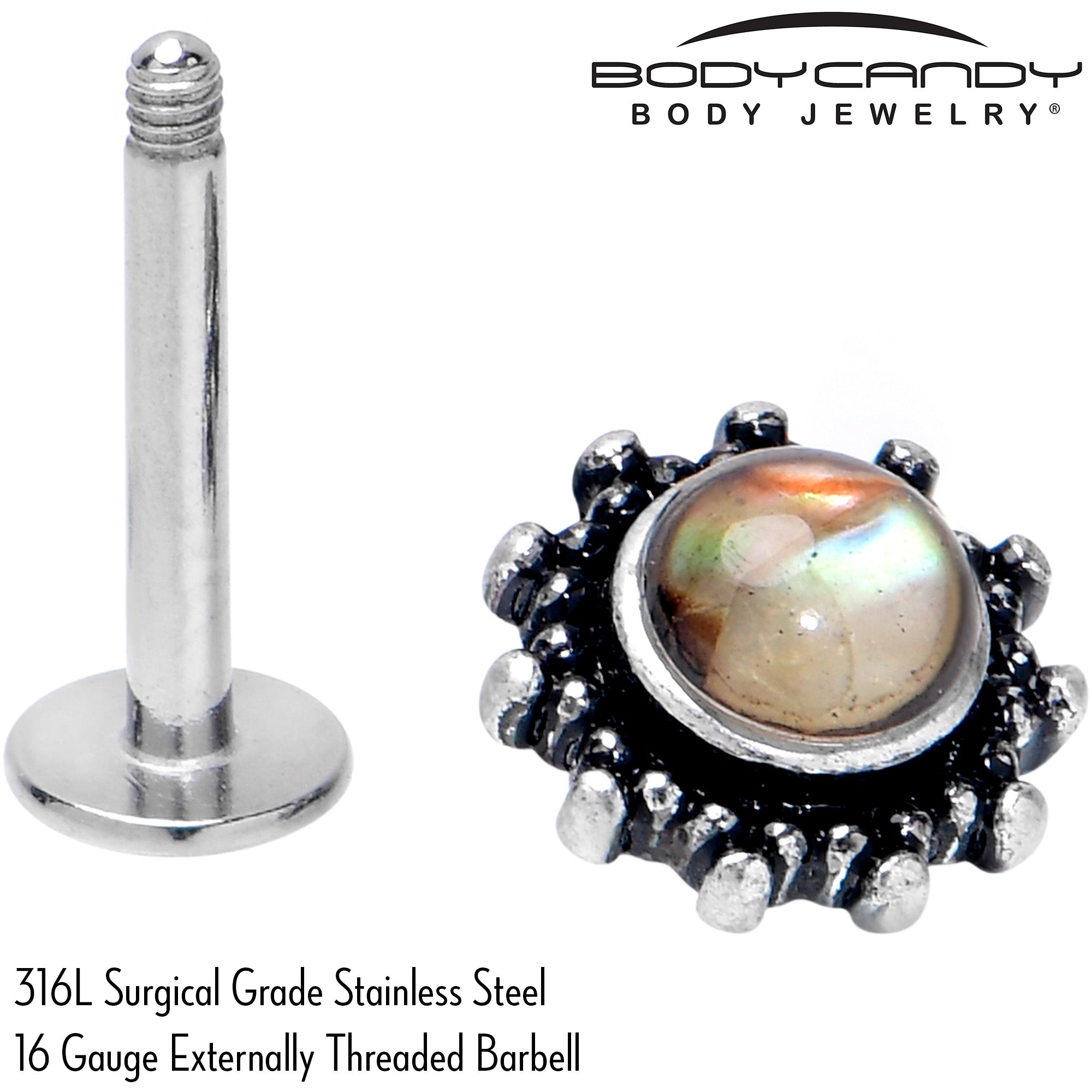 BodyCandy 16G 5/16 Brown Faux Shell Circle of Glam Labret Monroe Tragus — back view