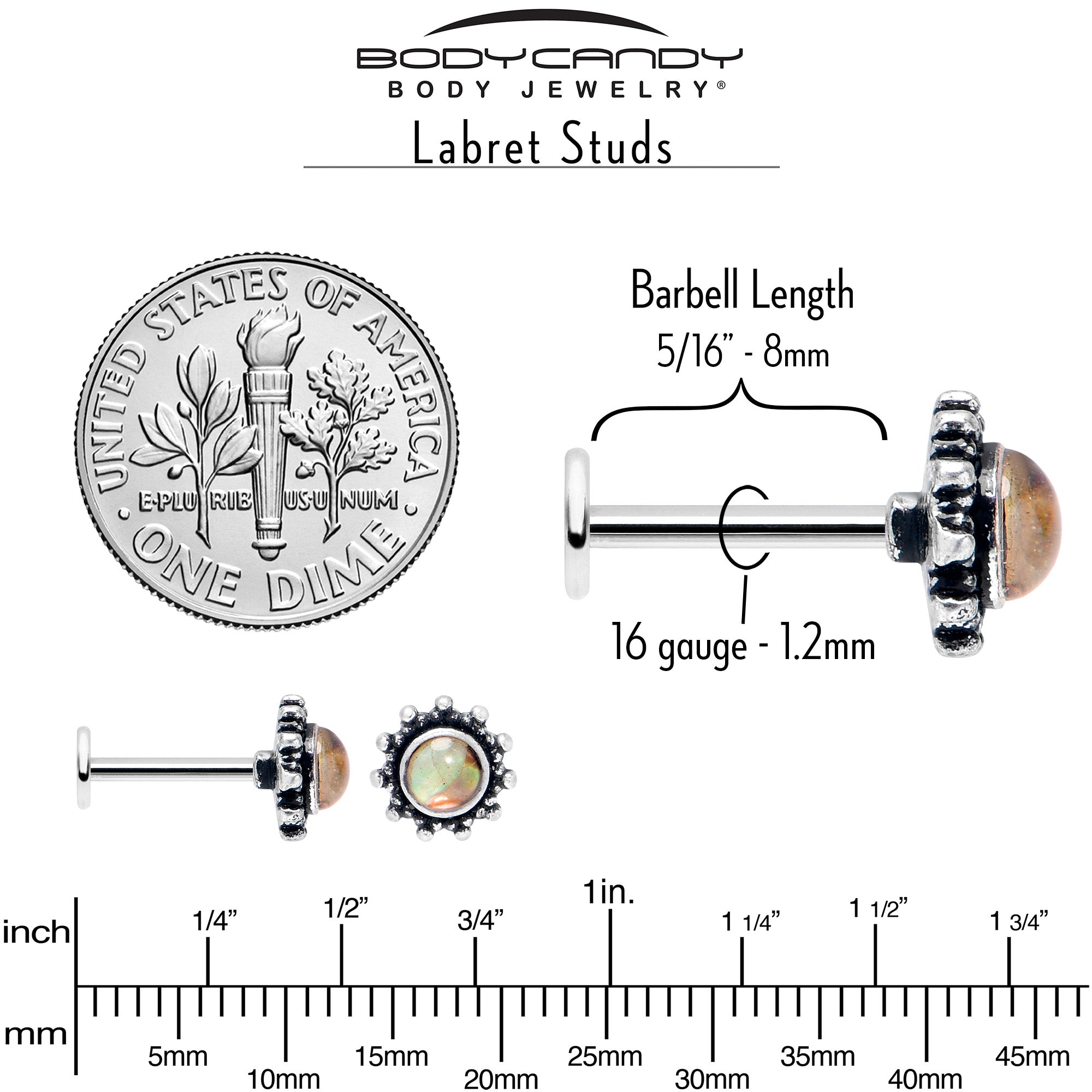 BodyCandy 16G 5/16 Brown Faux Shell Circle of Glam Labret Monroe Tragus — alternative angle