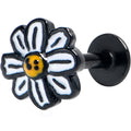 BodyCandy 16G 1/4 Black Pretty Daisy Flower Labret Tragus — main product shot