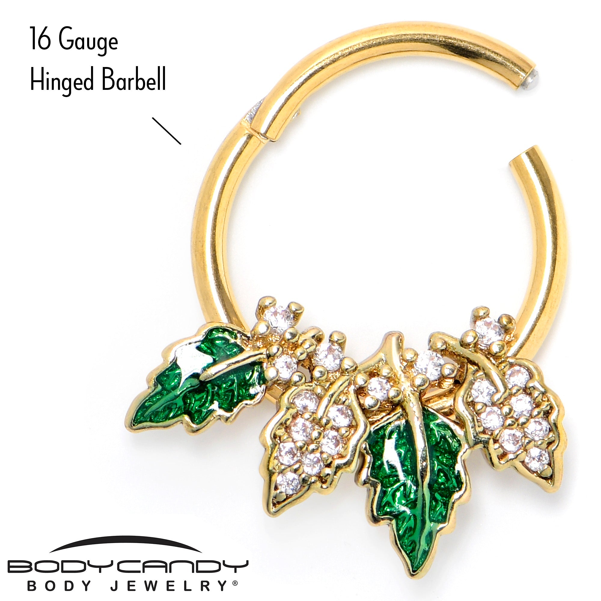 BodyCandy 16G 3/8 Clear CZ Gem Gold Tone Leafy Beauty Hinged Segment Ring — lifestyle context