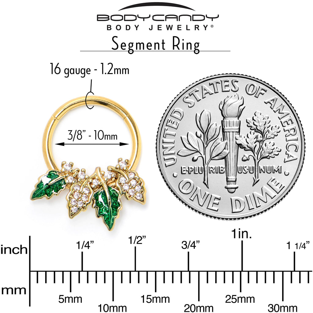 BodyCandy 16G 3/8 Clear CZ Gem Gold Tone Leafy Beauty Hinged Segment Ring — side view