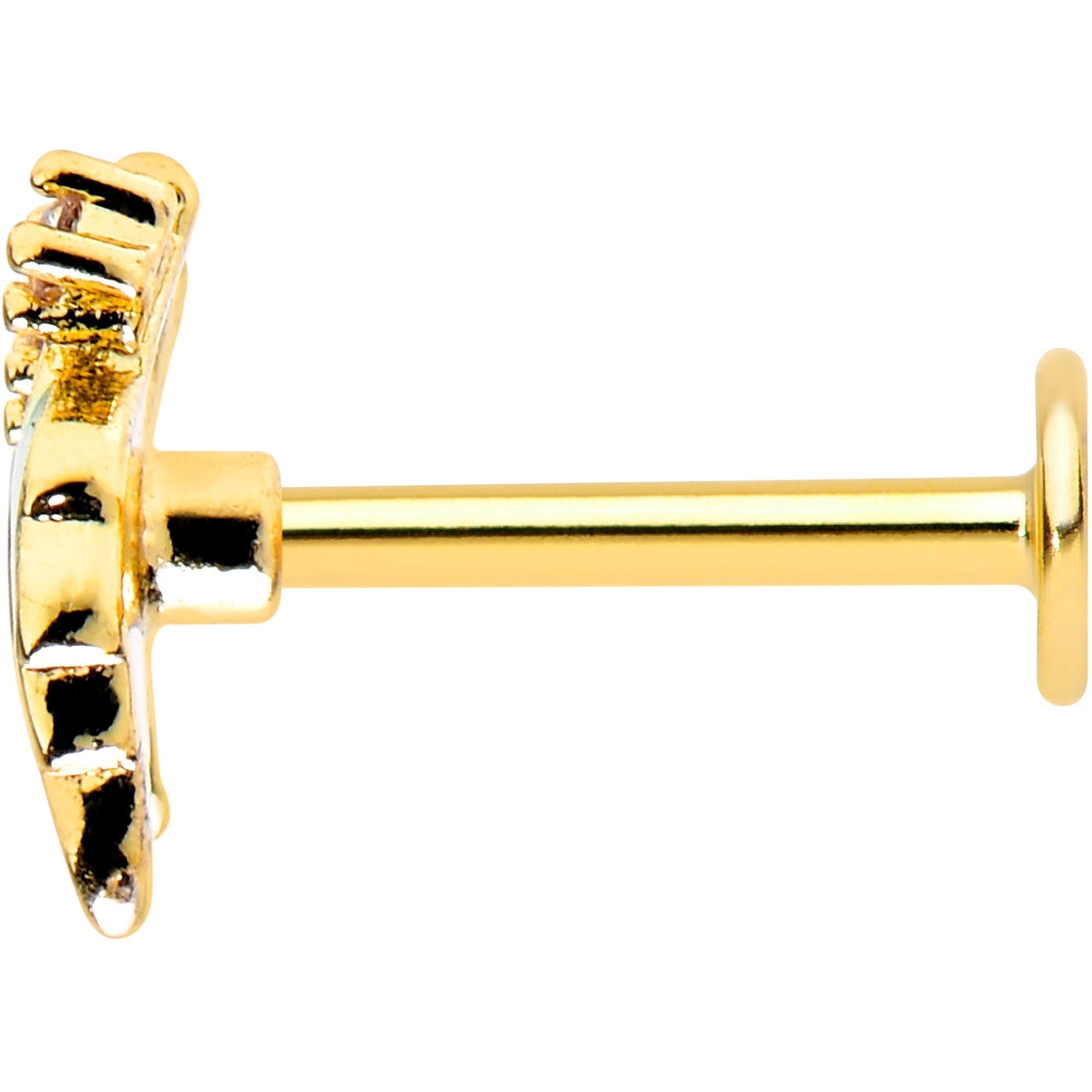 BodyCandy 16G 5/16 Clear CZ Gem Gold Tone Leafy Beauty Labret Monroe Tragus — lifestyle context