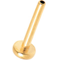BodyCandy 20G 1/4 Gold Tone ASTM F-136 Implant Grade Titanium Threadless Post Only Labret — main product shot
