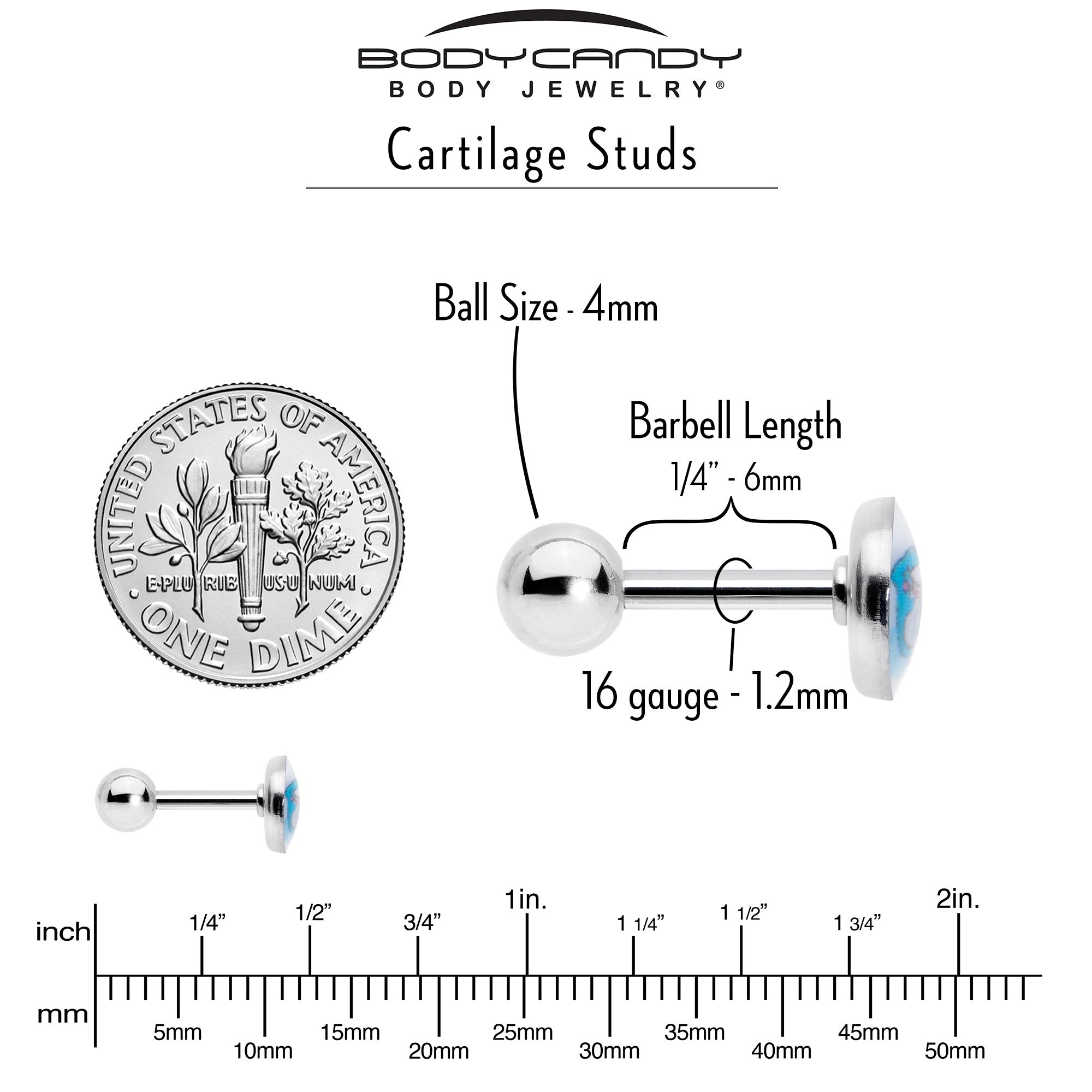 BodyCandy 16G 1/4 Loving Blue Whales Cartilage Tragus Stud — back view