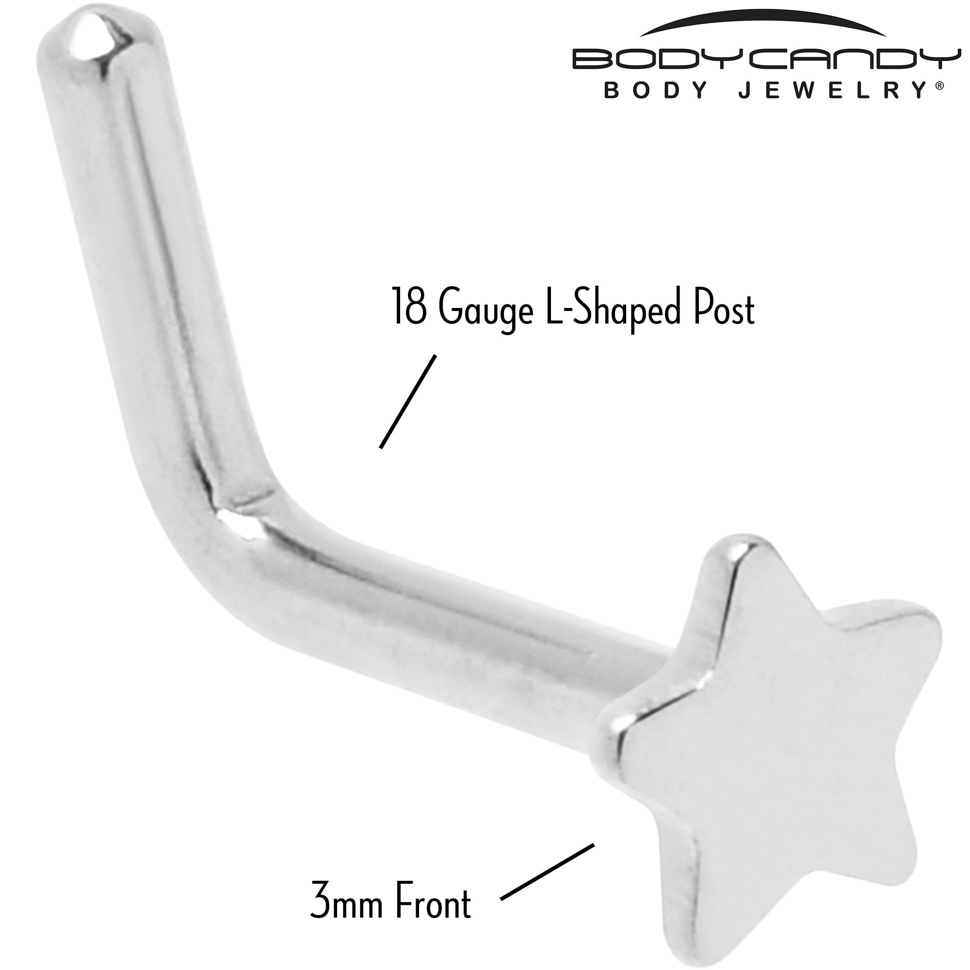 BodyCandy 18G 1/4 ASTM F-136 Implant Grade Titanium Star End L Shape Nose Ring — lifestyle context