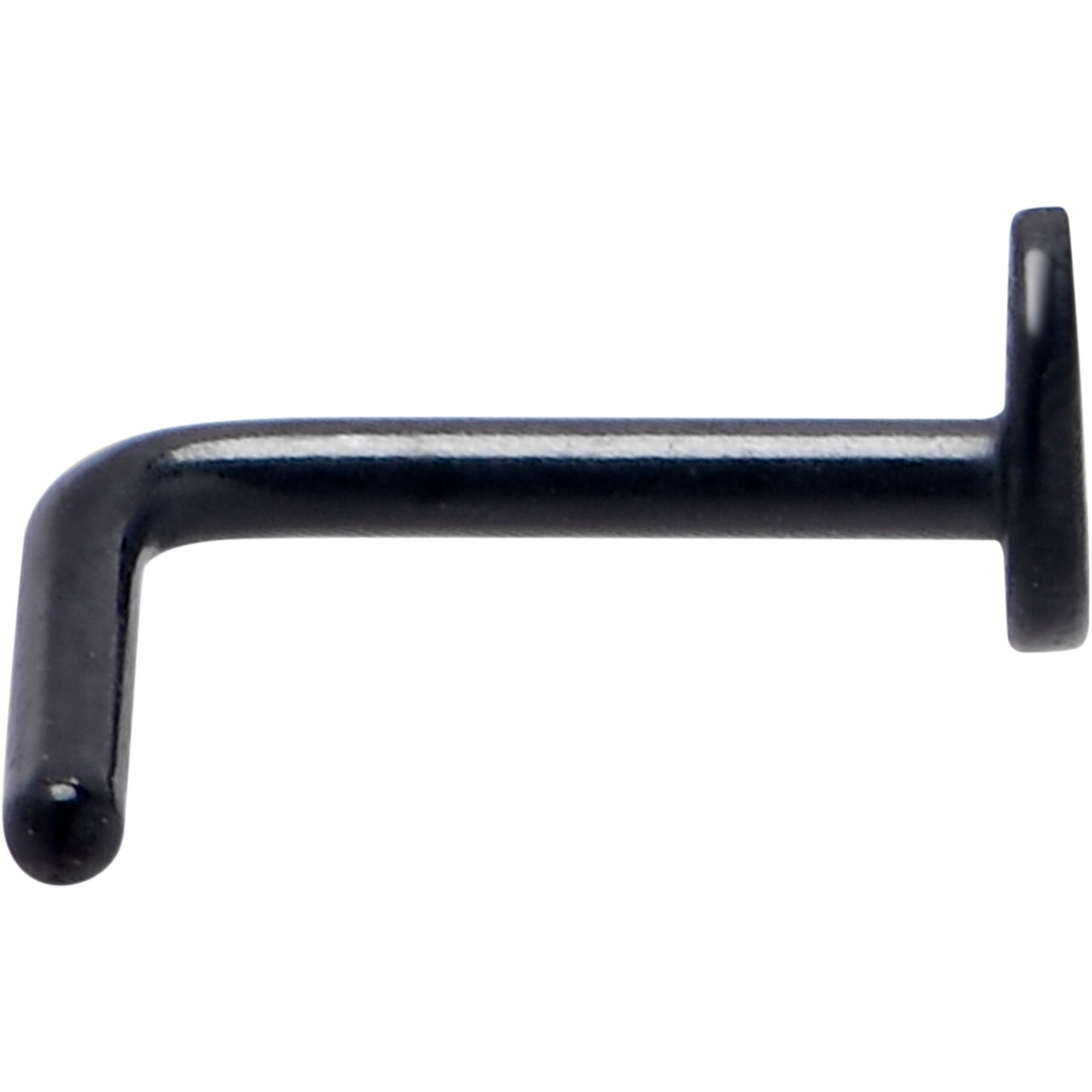 BodyCandy 20G 1/4 Black ASTM F-136 Implant Grade Titanium Moon End L Shape Nose Ring — lifestyle context