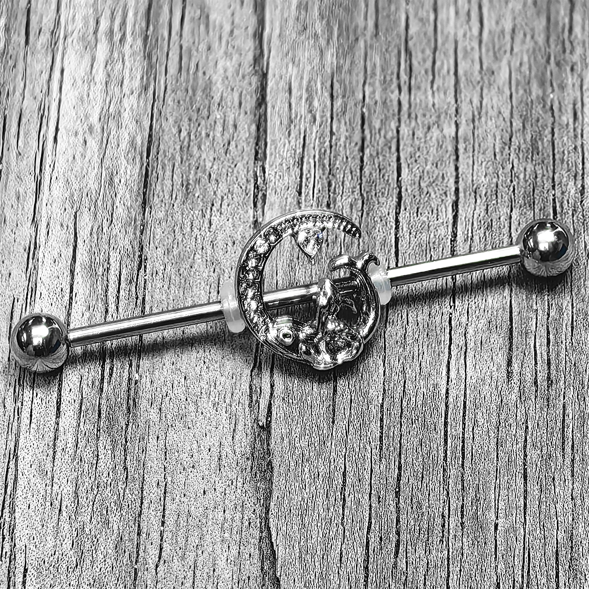 BodyCandy 14G Clear Gem Fish of the Day Industrial Barbell 38mm — main product shot
