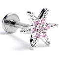 BodyCandy 16G 5/16 Pink CZ Gem Internally Threaded Lavish Star Labret Tragus — main product shot