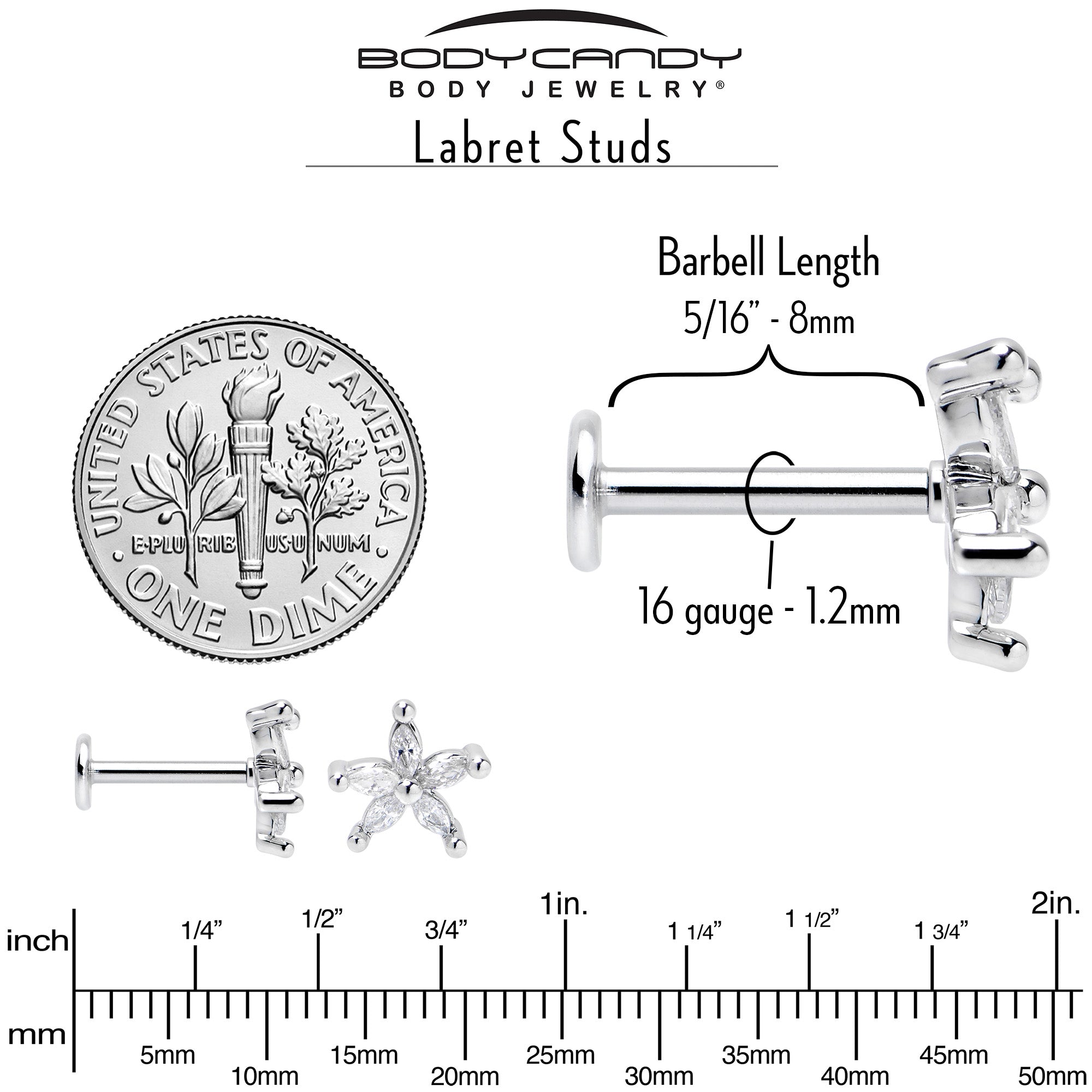 BodyCandy 16G 5/16 Clear CZ Gem Flower Fantastic Internally Threaded Labret — back view