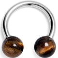 BodyCandy 14G 3/8 Tiger Eye Natural Stone Horseshoe Circular Barbell — main product shot