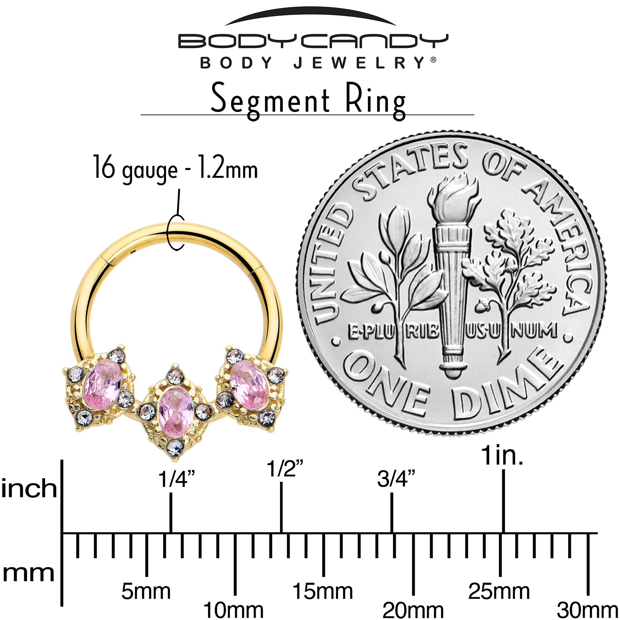 BodyCandy 16G 3/8 Pink Tourmaline Gold Tone Wondrous Trio Hinged Segment Ring — side view