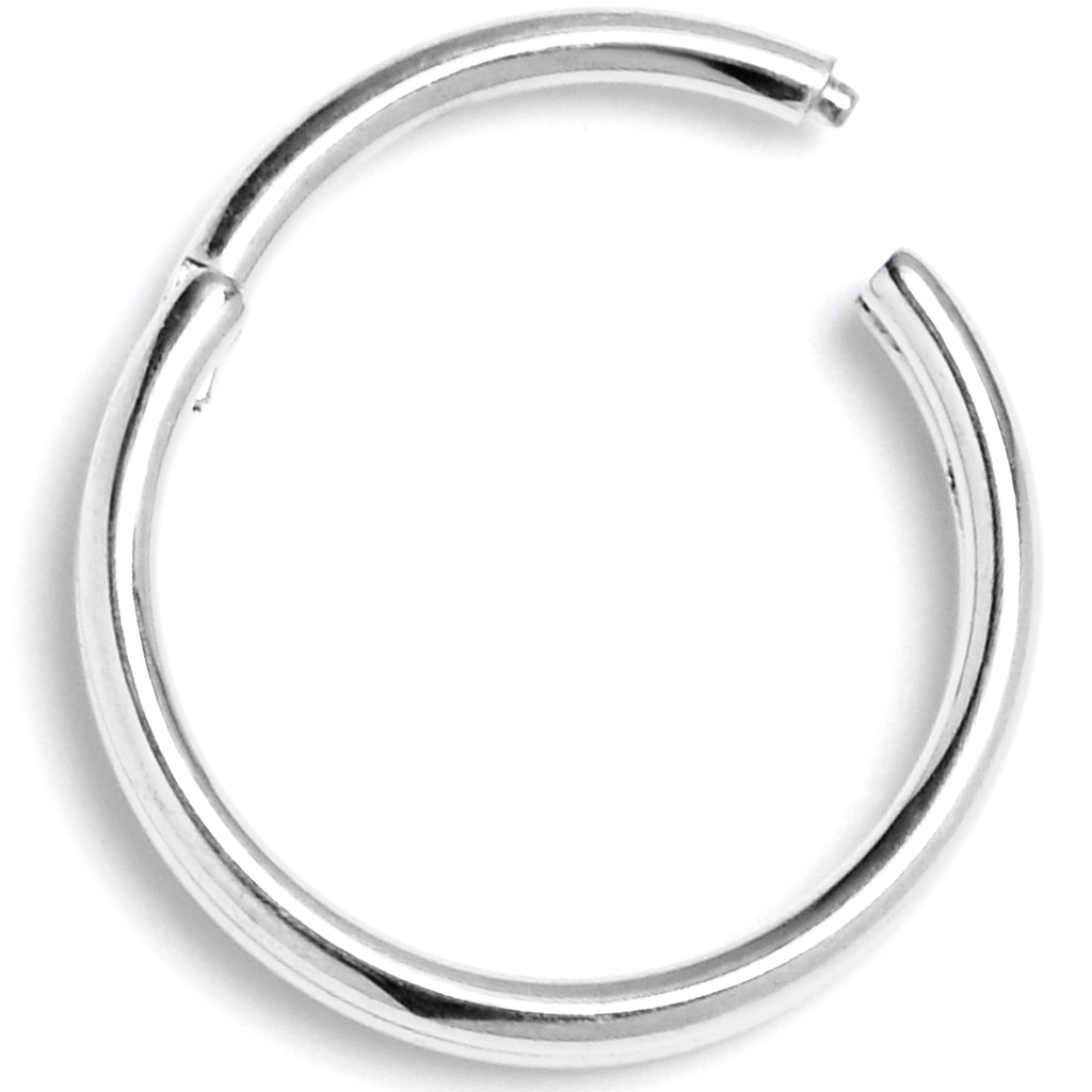BodyCandy 20G 5/16 316L Surgical Steel Double Precision Hinged Segment Ring — lifestyle context