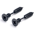 BodyCandy Black Stainless Steel Screw Stud Earrings Cheater Plug Set — main product shot