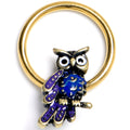 BodyCandy 16G 3/8 Gold Tone Regal Owl BCR Captive Ring — main product shot