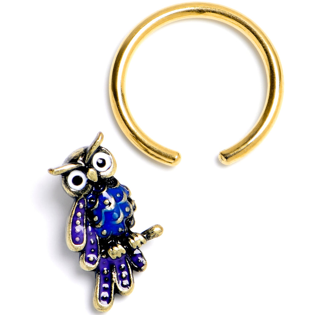 BodyCandy 16G 3/8 Gold Tone Regal Owl BCR Captive Ring — detail close-up