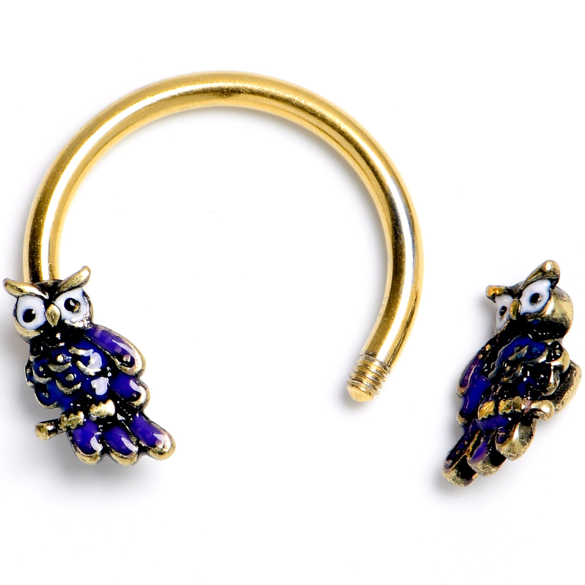BodyCandy 16G 3/8 Gold Tone Regal Owl Horseshoe Circular Barbell — detail close-up