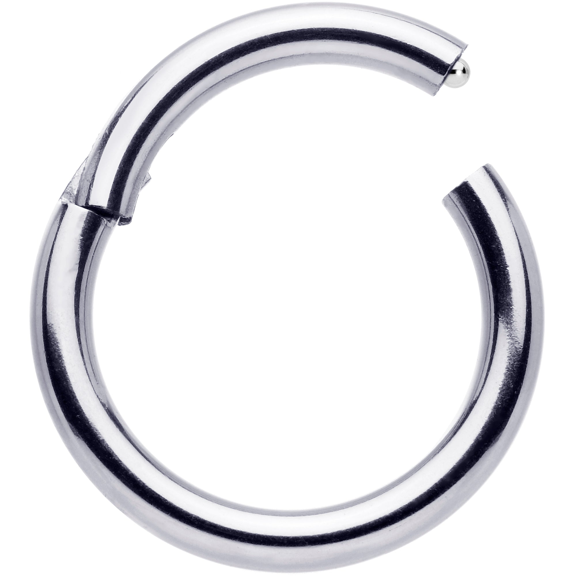 BodyCandy 12G 1/2 Precision Hinged Segment Ring — detail close-up