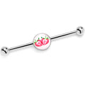 BodyCandy 14G Screaming Strawberry Horror Fruit Industrial Barbell 38mm — main product shot