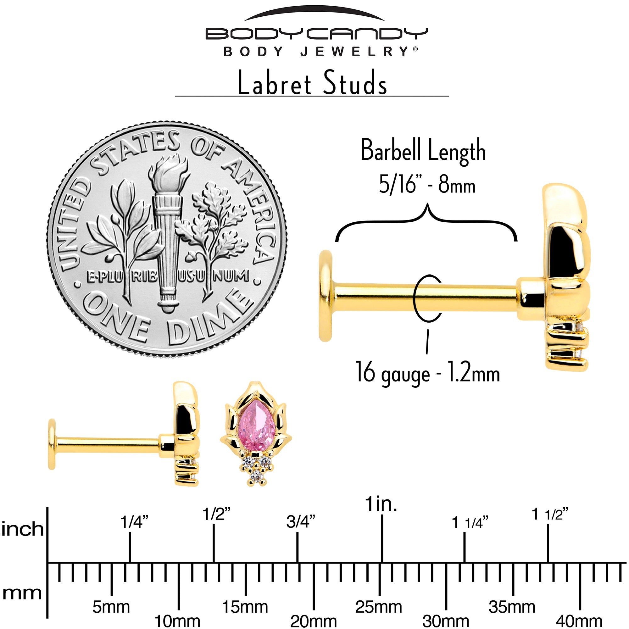 BodyCandy 16G 5/16 Pink CZ Gem Gold Tone Style Fire Labret Monroe Tragus — back view