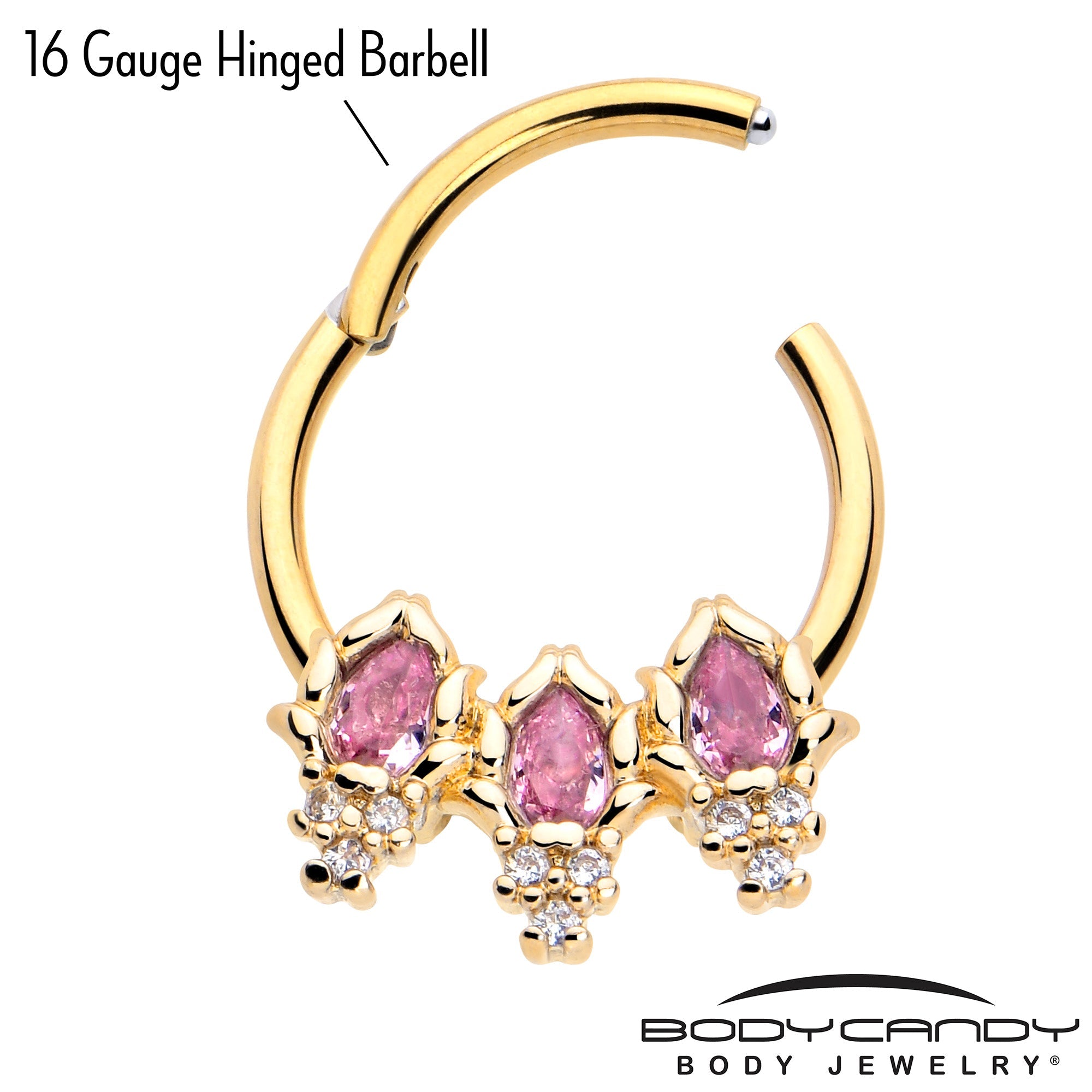 BodyCandy 16G 3/8 Pink CZ Gem Gold Tone Style Fire Hinged Segment Ring — lifestyle context