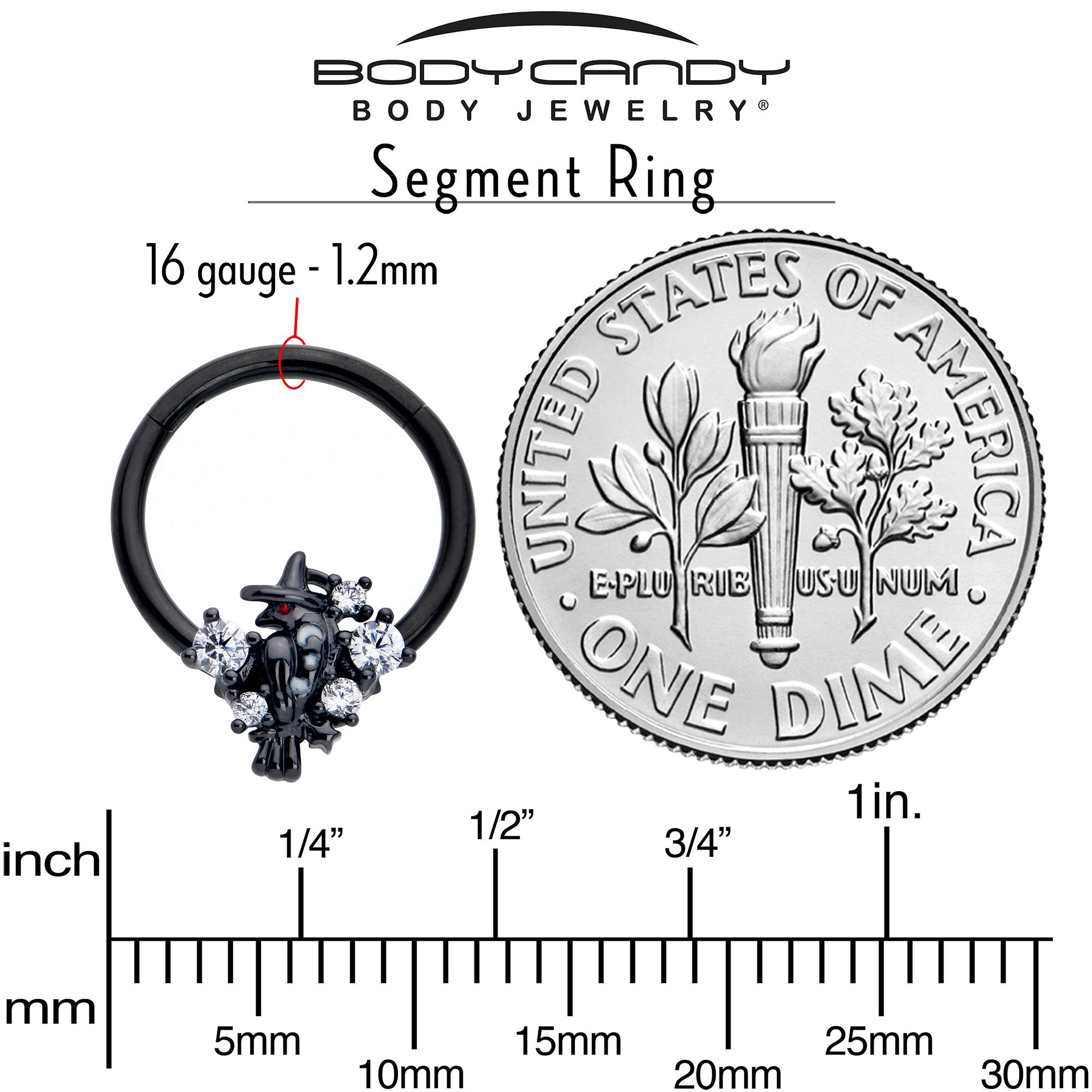 BodyCandy 16G 3/8 Clear CZ Gem Black Raven Witch Hinged Segment Ring — side view