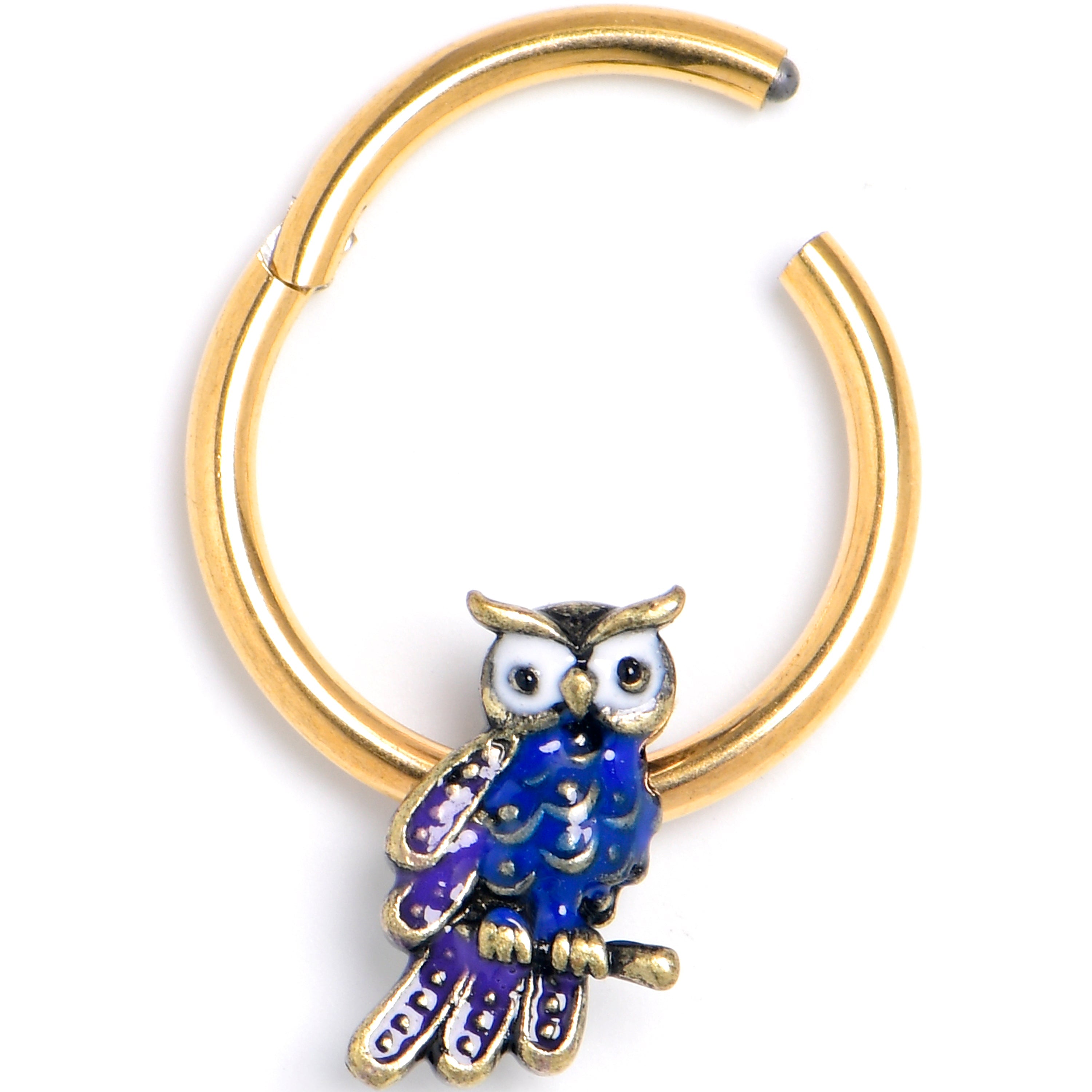 BodyCandy 16G 3/8 Gold Tone Regal Owl Hinged Segment Ring — main product shot