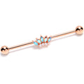 BodyCandy 14G Aurora Gem Rose Gold Tone Fashion Fan Industrial Barbell 38mm — main product shot