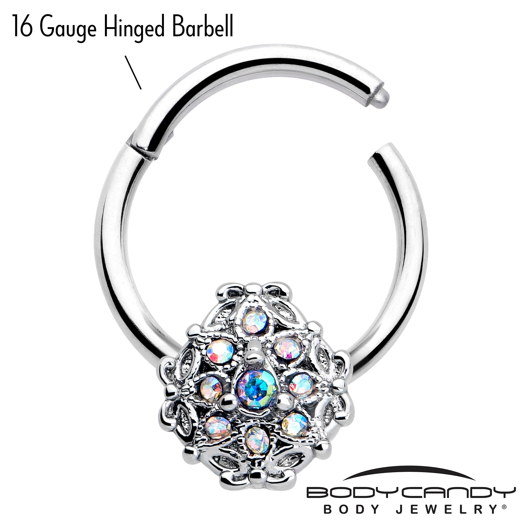 BodyCandy 16G 3/8 Aurora Gem Retro Sunburst Hinged Segment Ring — detail close-up