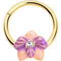 BodyCandy 16G 3/8 Clear Gem Gold Tone Pastel Flower Hinged Segment Ring — main product shot