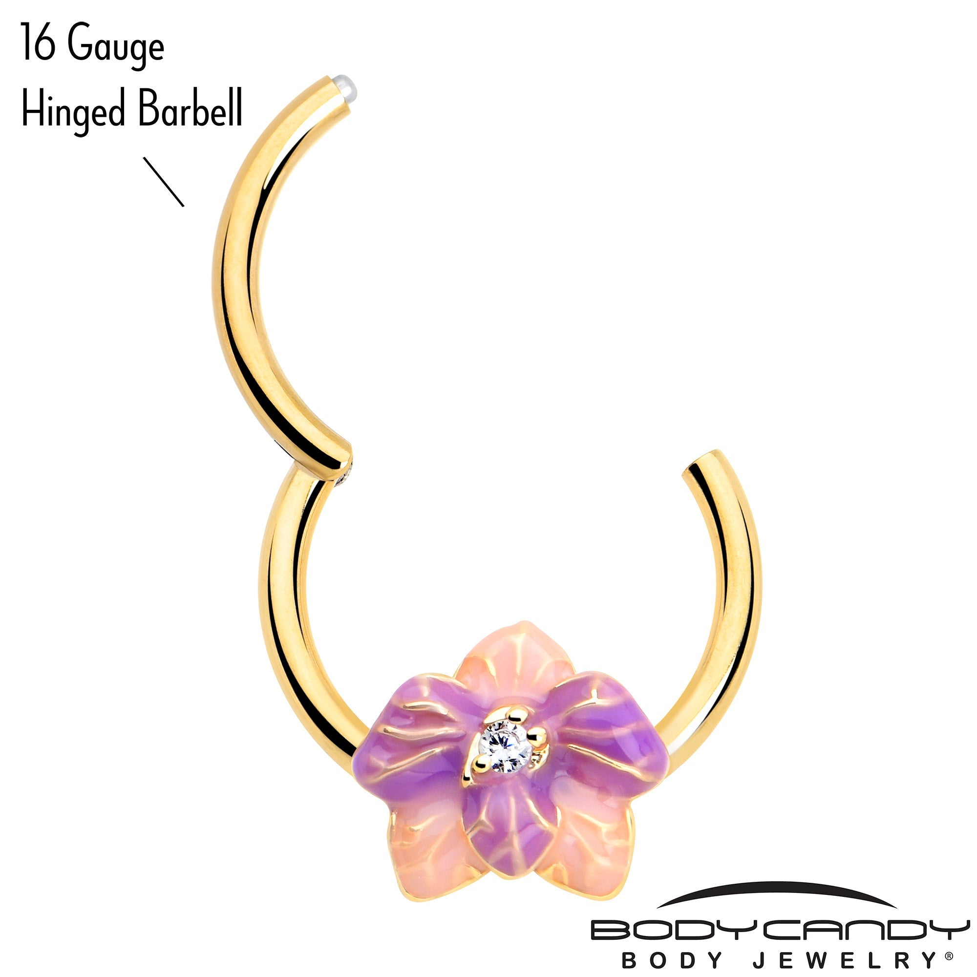 BodyCandy 16G 3/8 Clear Gem Gold Tone Pastel Flower Hinged Segment Ring — detail close-up