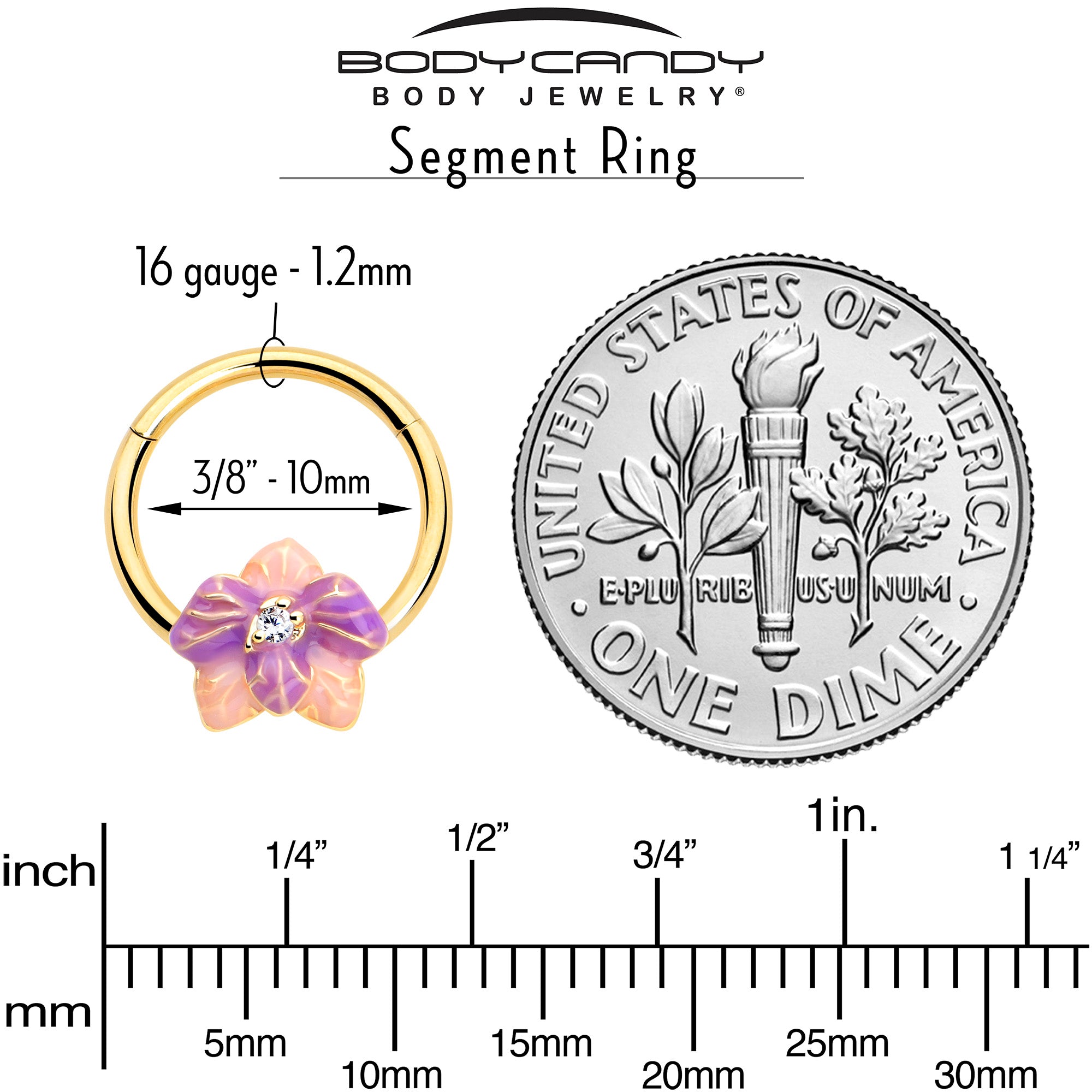 BodyCandy 16G 3/8 Clear Gem Gold Tone Pastel Flower Hinged Segment Ring — lifestyle context