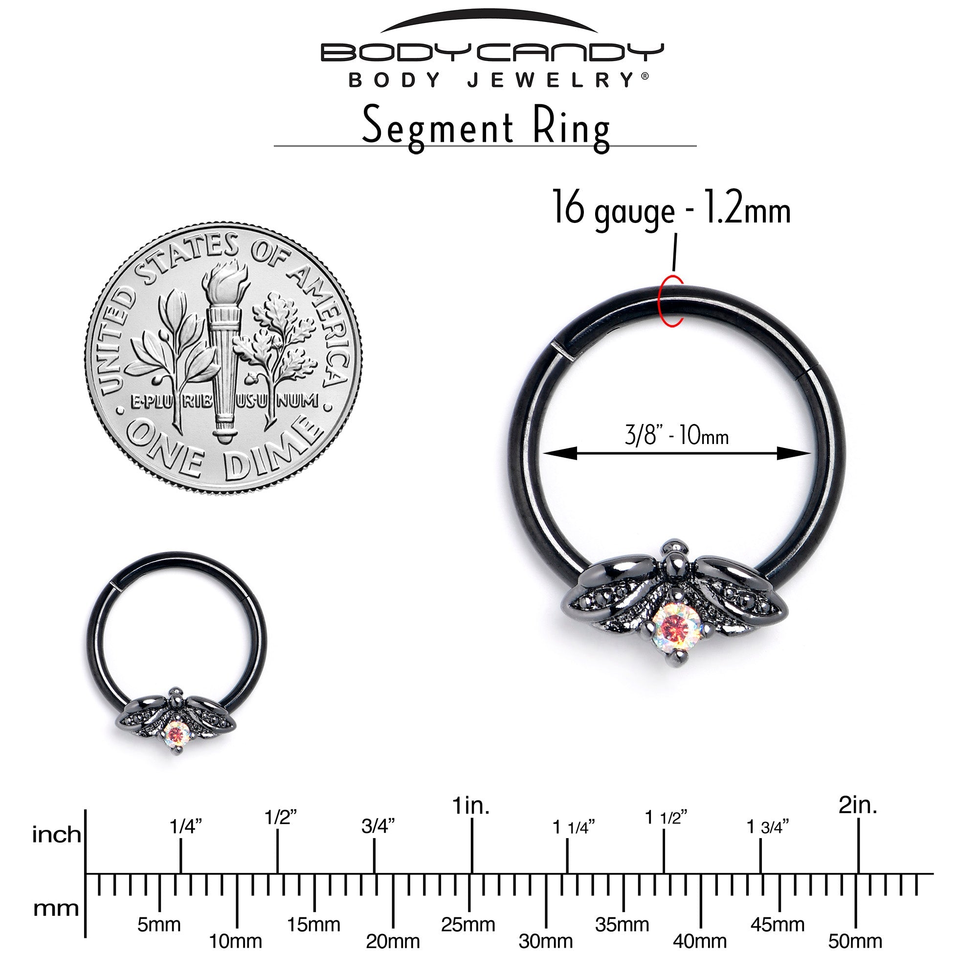 BodyCandy 16G 3/8 Aurora Gem Black Beauty Bug Hinged Segment Ring — side view