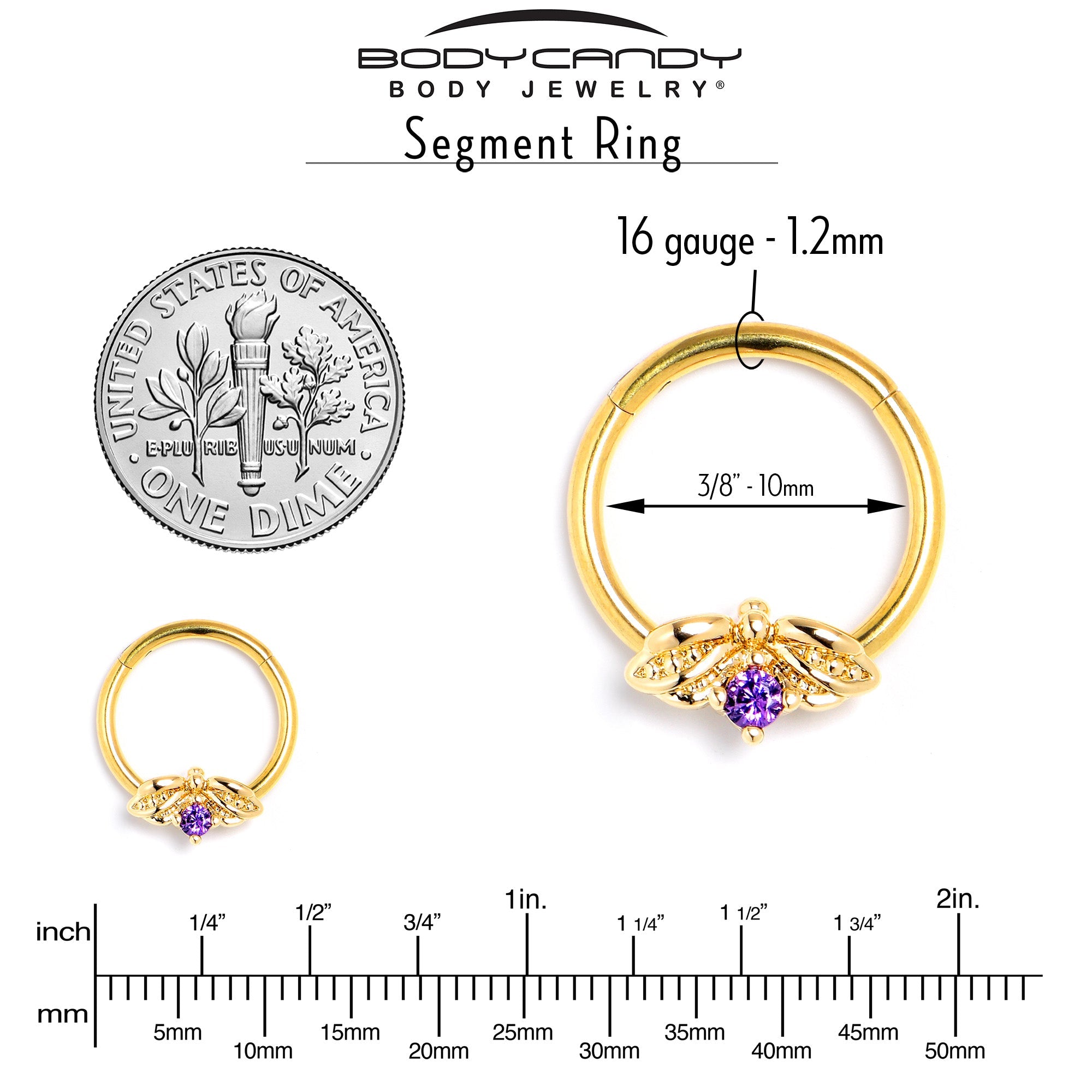 BodyCandy 16G 3/8 Purple Gem Gold Tone Beauty Bug Hinged Segment Ring — side view