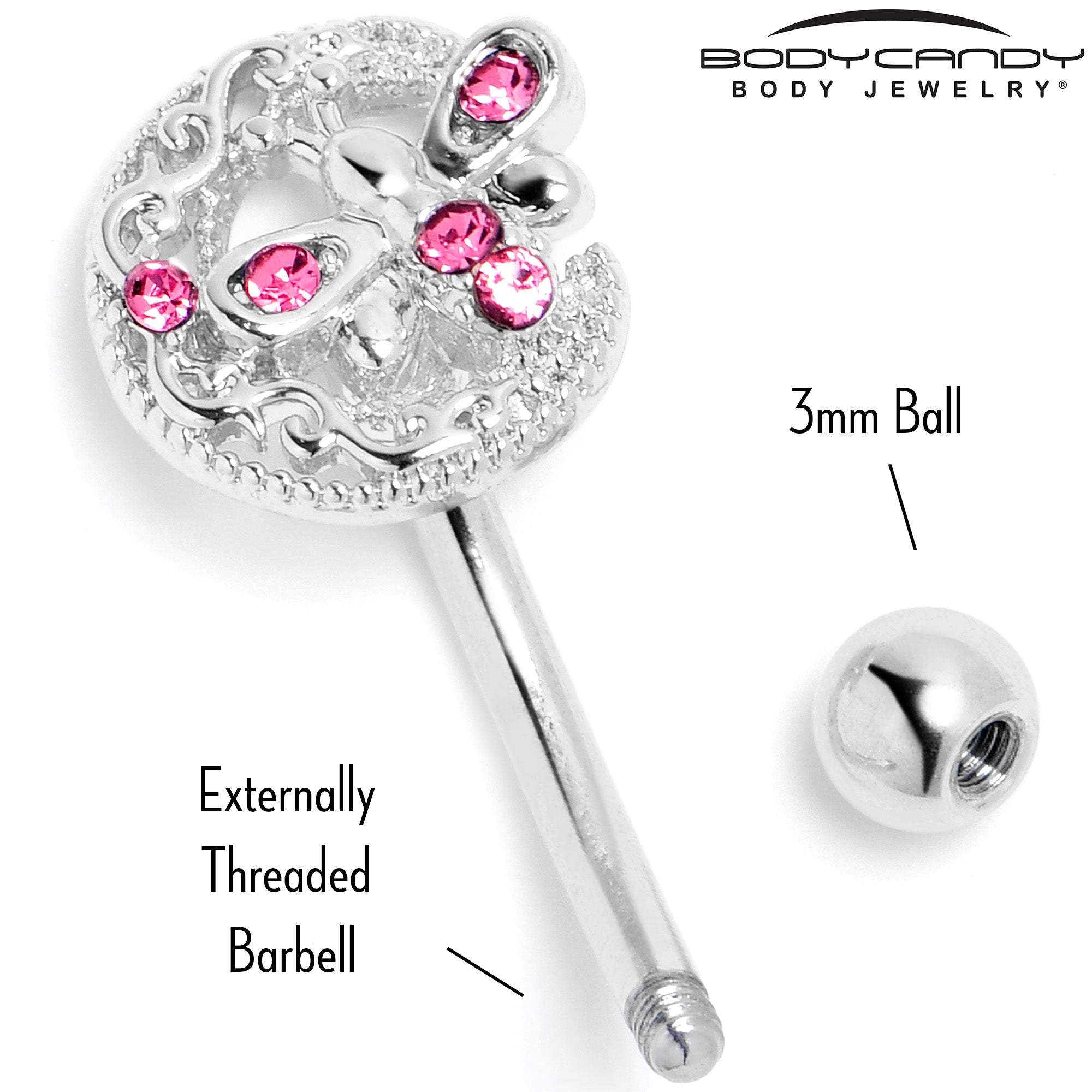 BodyCandy 16G 5/16 Pink Gem Lunar Dragonfly Curved Eyebrow Ring — back view