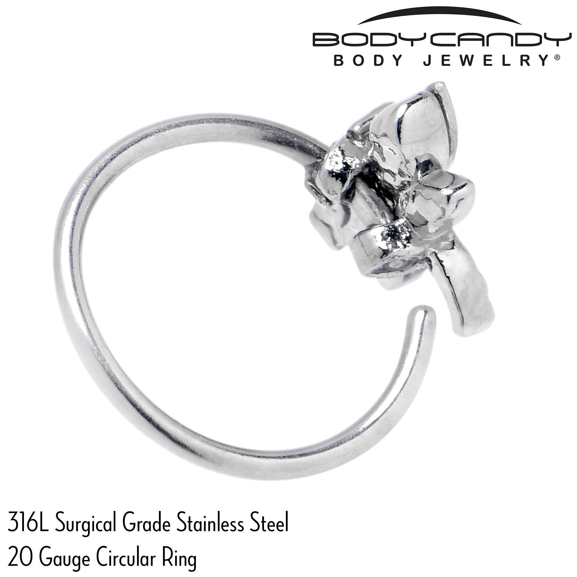 BodyCandy 20G 5/16 Aurora CZ Gem Understated Dragonfly Nose Hoop — alternative angle