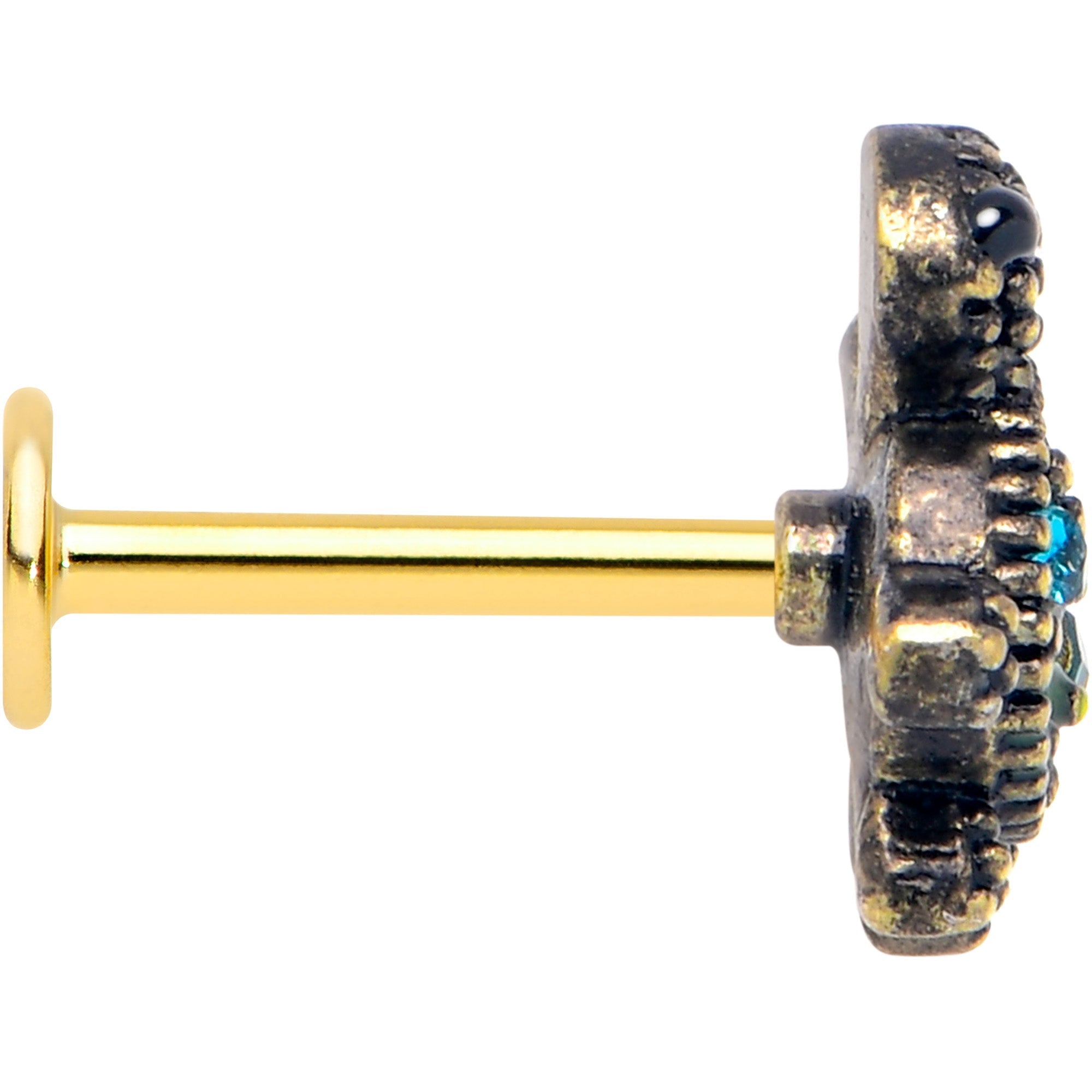 BodyCandy 16G 5/16 Blue Gem Gold Tone Sweet Sea Turtle Labret Monroe Tragus — lifestyle context