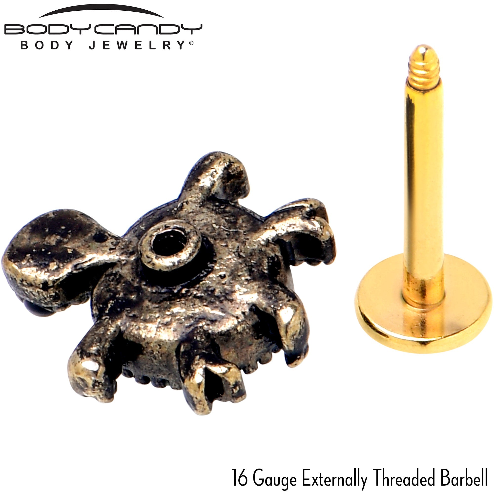 BodyCandy 16G 5/16 Blue Gem Gold Tone Sweet Sea Turtle Labret Monroe Tragus — side view