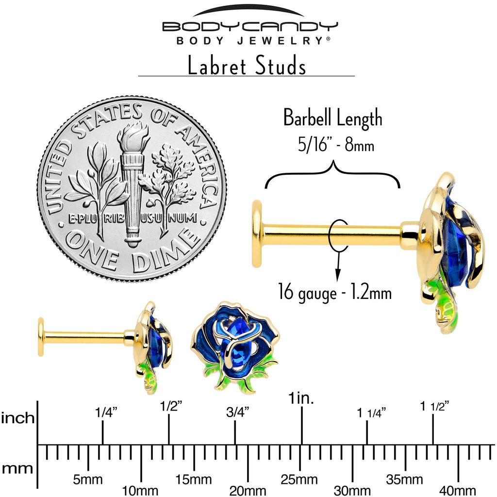BodyCandy 16G 5/16 Blue Gem Gold Tone Deep Blue Flower Labret Monroe Tragus — back view