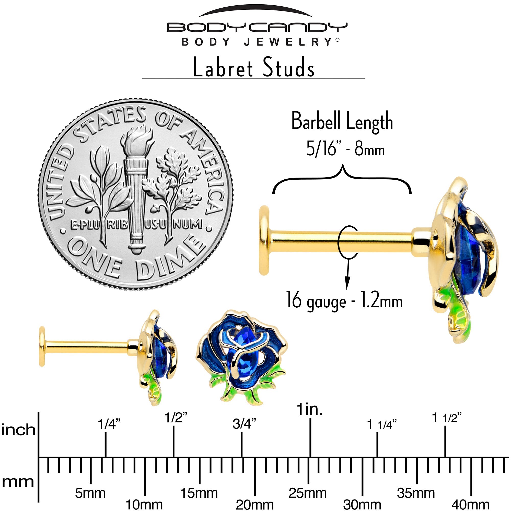 BodyCandy 16G 5/16 Blue Gem Gold Tone Deep Blue Flower Labret Monroe Tragus — back view