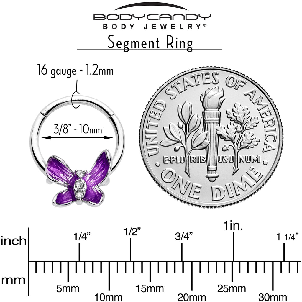 BodyCandy 16G 3/8 Clear Gem Chunky Butterfly Purple Hinged Segment Ring — in-use photo